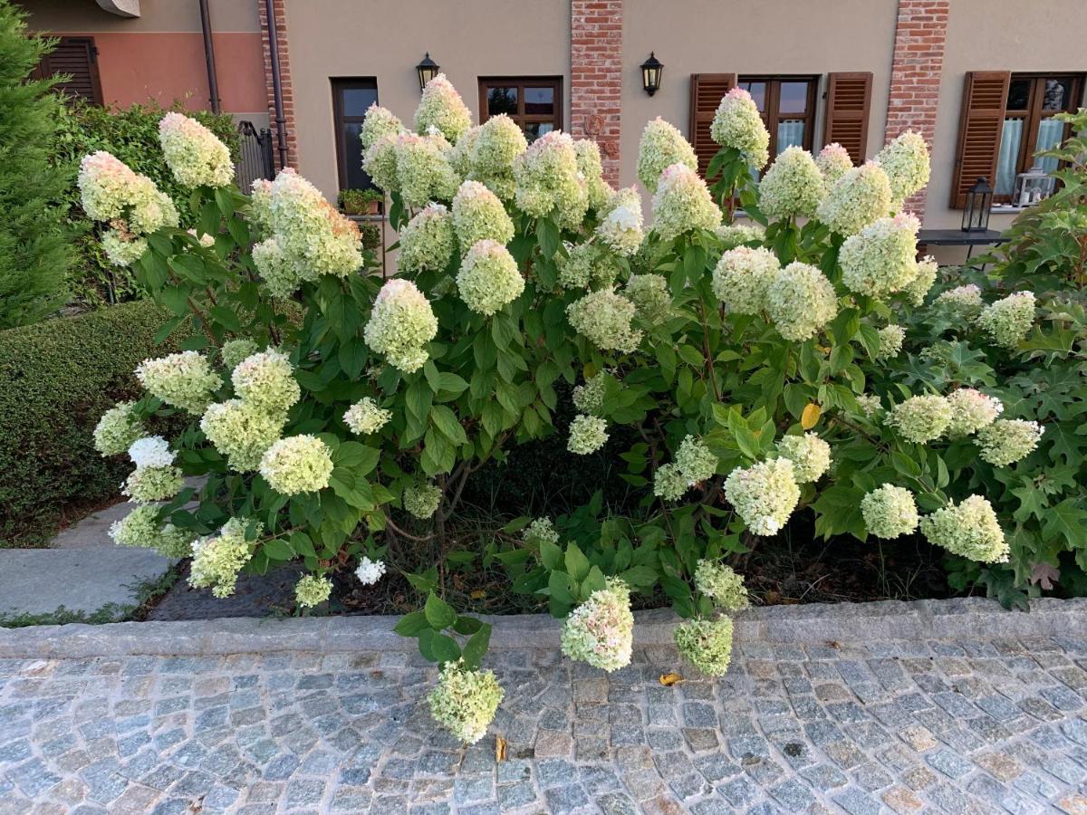 Agriturismo Sarmore Salmore ภายนอก รูปภาพ